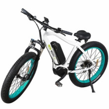 Paladin Middle Drive Fat Tire Electric Bike